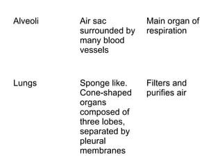 Alveoli   Air sac         Main organ of
          surrounded by   respiration
          many blood
          vessels


Lungs     Sponge like.    Filters and
          Cone-shaped     purifies air
          organs
          composed of
          three lobes,
          separated by
          pleural
          membranes
 