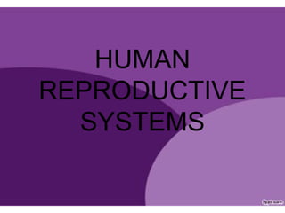 HUMAN
REPRODUCTIVE
  SYSTEMS
 