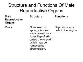 Structure and Functions Of Male
        Reproductive Organs
Male           Structure           Functions
Reproductive
Organs
Penis          Composed of         Deposits sperm
               spongy tissues      cells in the vagina
               and covered by a
               loose flap of skin
               called the roreskin
               which may be
               removed by
               circumcision.
 