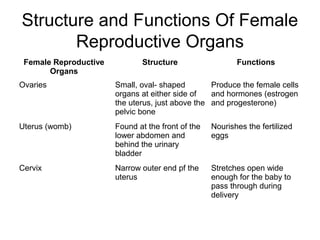 Structure and Functions Of Female
       Reproductive Organs
 Female Reproductive          Structure                   Functions
       Organs
Ovaries                Small, oval- shaped        Produce the female cells
                       organs at either side of   and hormones (estrogen
                       the uterus, just above the and progesterone)
                       pelvic bone
Uterus (womb)          Found at the front of the   Nourishes the fertilized
                       lower abdomen and           eggs
                       behind the urinary
                       bladder
Cervix                 Narrow outer end pf the     Stretches open wide
                       uterus                      enough for the baby to
                                                   pass through during
                                                   delivery
 