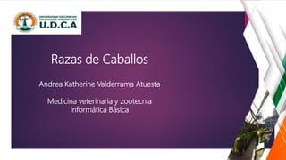 Razas de Caballos
Andrea Katherine Valderrama Atuesta
Medicina veterinaria y zootecnia
Informática Básica
 