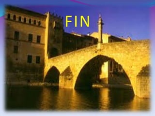 FIN