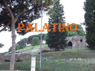 Palatino 