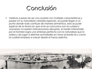 ConclusiónConclusión
• Valdivia a pesar de ser una ciudad con múltiples características y
poseer en su naturaleza variadas especies, se puede llegar a un
punto donde todo confluye de manera semántica, esto se pude
explicar de la forma en que el río se comunica con la cuidad y
viceversa; no existen intervenciones abruptas, el medio intervenido
por el hombre logra una simbiosis perfecta con la naturaleza que lo
rodea y da lugar a distintas actividades en torno al borde río y como
la cuidad empieza a crecer desde el hacia adentro.
 