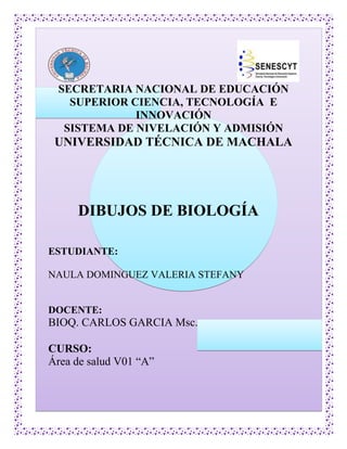 SECRETARIA NACIONAL DE EDUCACIÓN
SUPERIOR CIENCIA, TECNOLOGÍA E
INNOVACIÓN
SISTEMA DE NIVELACIÓN Y ADMISIÓN
UNIVERSIDAD TÉCNICA DE MACHALA
DIBUJOS DE BIOLOGÍA
ESTUDIANTE:
NAULA DOMINGUEZ VALERIA STEFANY
DOCENTE:
BIOQ. CARLOS GARCIA Msc.
CURSO:
Área de salud V01 “A”
 