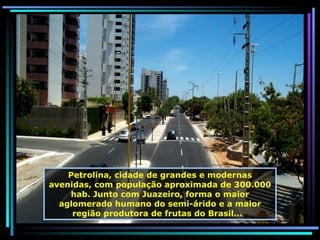Petrolina, cidade de grandes e modernas avenidas, com população aproximada de 300.000 hab. Junto com Juazeiro, forma o maior aglomerado humano do semi-árido e a maior região produtora de frutas do Brasil...  