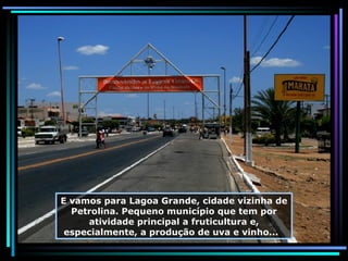 E vamos para Lagoa Grande, cidade vizinha de Petrolina. Pequeno município que tem por atividade principal a fruticultura e, especialmente, a produção de uva e vinho...  
