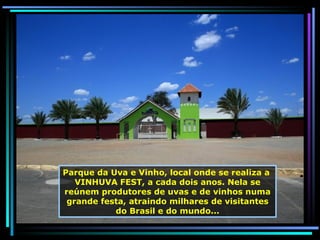 Parque da Uva e Vinho, local onde se realiza a  VINHUVA FEST, a cada dois anos. Nela se reúnem produtores de uvas e de vinhos numa grande festa, atraindo milhares de visitantes do Brasil e do mundo... 