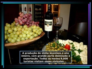 A produção de vinho acontece o ano inteiro, com grande parte destinada à exportação. Todos os meses 8.000 turistas visitam essas vinícolas...  