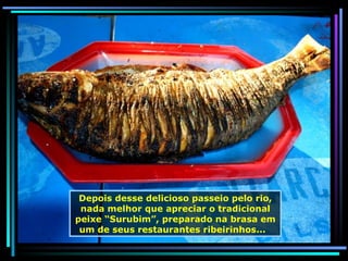Depois desse delicioso passeio pelo rio, nada melhor que apreciar o tradicional peixe “Surubim”, preparado na brasa em um de seus restaurantes ribeirinhos...  
