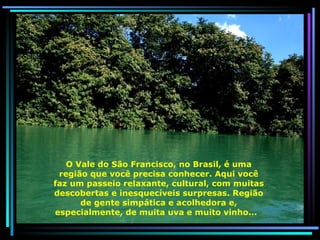 O Vale do São Francisco, no Brasil, é uma região que você precisa conhecer. Aqui você faz um passeio relaxante, cultural, com muitas descobertas e inesquecíveis surpresas. Região de gente simpática e acolhedora e, especialmente, de muita uva e muito vinho...  