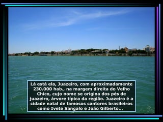 Lá está ela, Juazeiro, com aproximadamente 230.000 hab., na margem direita do Velho Chico, cujo nome se origina dos pés de juazeiro, árvore típica da região. Juazeiro é a cidade natal de famosos cantores brasileiros como Ivete Sangalo e João Gilberto...  