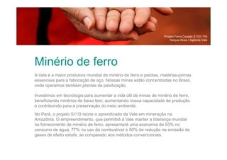 Projeto Ferro Carajás S11D / PA
Kaíque Alves / Agência Vale

Minério de ferro
A Vale é a maior produtora mundial de minério de ferro e pelotas, matérias-primas
essenciais para a fabricação de aço. Nossas minas estão concentradas no Brasil,
onde operamos também plantas de pelotização.
Investimos em tecnologia para aumentar a vida útil de minas de minério de ferro,
beneficiando minérios de baixo teor, aumentando nossa capacidade de produção
e contribuindo para a preservação do meio ambiente.
No Pará, o projeto S11D reúne o aprendizado da Vale em mineração na
Amazônia. O empreendimento, que permitirá à Vale manter a liderança mundial
no fornecimento de minério de ferro, apresentará uma economia de 93% no
consumo de água, 77% no uso de combustível e 50% de redução na emissão de
gases de efeito estufa, se comparado aos métodos convencionais.

 