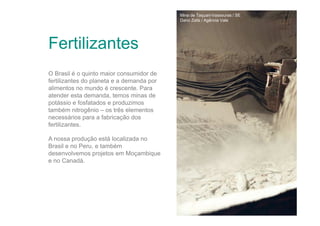 Mina de Taquari-Vassouras / SE
Dario Zalis / Agência Vale

Fertilizantes
O Brasil é o quinto maior consumidor de
fertilizantes do planeta e a demanda por
alimentos no mundo é crescente. Para
atender esta demanda, temos minas de
potássio e fosfatados e produzimos
também nitrogênio – os três elementos
necessários para a fabricação dos
fertilizantes.
A nossa produção está localizada no
Brasil e no Peru, e também
desenvolvemos projetos em Moçambique
e no Canadá.

 