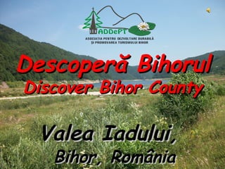 Valea Iadului,Valea Iadului,
Bihor, RomBihor, Româniaânia
Descoperă BihorulDescoperă Bihorul
Discover Bihor CountyDiscover Bihor County
 