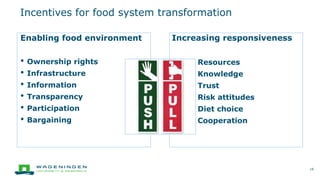 Incentives for food system transformation
18
Increasing responsiveness
● Resources
● Knowledge
● Trust
● Risk attitudes
● Diet choice
● Cooperation
Enabling food environment
• Ownership rights
• Infrastructure
• Information
• Transparency
• Participation
• Bargaining
 