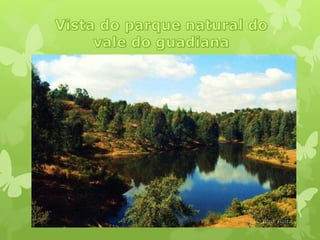 Vale do guadiana 