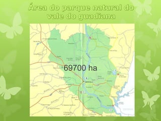 69700 ha
 