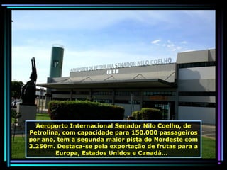 Aeroporto Internacional Senador Nilo Coelho, de
Petrolina, com capacidade para 150.000 passageiros
por ano, tem a segunda maior pista do Nordeste com
3.250m. Destaca-se pela exportação de frutas para a
Europa, Estados Unidos e Canadá...

 