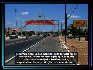 E vamos para Lagoa Grande, cidade vizinha de
Petrolina. Pequeno município que tem por
atividade principal a fruticultura e,
especialmente, a produção de uva e vinho...

 
