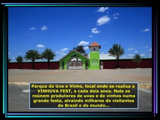 Parque da Uva e Vinho, local onde se realiza a
VINHUVA FEST, a cada dois anos. Nela se
reúnem produtores de uvas e de vinhos numa
grande festa, atraindo milhares de visitantes
do Brasil e do mundo...

 