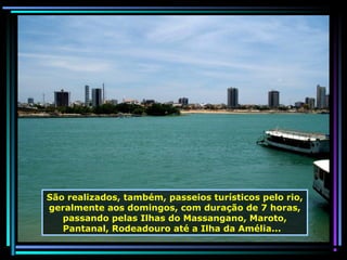 São realizados, também, passeios turísticos pelo rio,
geralmente aos domingos, com duração de 7 horas,
passando pelas Ilhas do Massangano, Maroto,
Pantanal, Rodeadouro até a Ilha da Amélia...

 