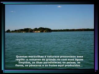 Quantas maravilhas a natureza presenteou essa
região: o remanso do grande rio com suas águas
límpidas, as ilhas paradisíacas, os peixes, as
flores, os pássaros e as frutas aqui produzidas...

 