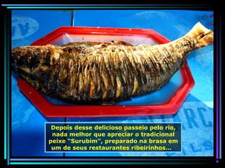 Depois desse delicioso passeio pelo rio,
nada melhor que apreciar o tradicional
peixe “Surubim”, preparado na brasa em
um de seus restaurantes ribeirinhos...

 