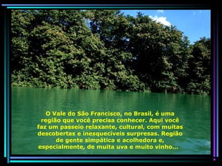 O Vale do São Francisco, no Brasil, é uma
região que você precisa conhecer. Aqui você
faz um passeio relaxante, cultural, com muitas
descobertas e inesquecíveis surpresas. Região
de gente simpática e acolhedora e,
especialmente, de muita uva e muito vinho...

 