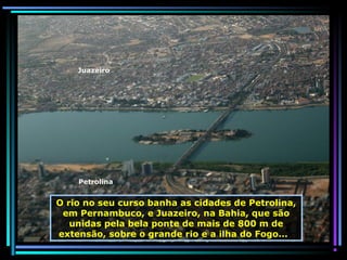 Juazeiro

Petrolina

O rio no seu curso banha as cidades de Petrolina,
em Pernambuco, e Juazeiro, na Bahia, que são
unidas pela bela ponte de mais de 800 m de
extensão, sobre o grande rio e a ilha do Fogo...

 