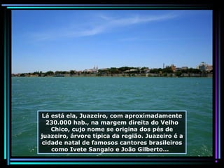 Lá está ela, Juazeiro, com aproximadamente
230.000 hab., na margem direita do Velho
Chico, cujo nome se origina dos pés de
juazeiro, árvore típica da região. Juazeiro é a
cidade natal de famosos cantores brasileiros
como Ivete Sangalo e João Gilberto...

 
