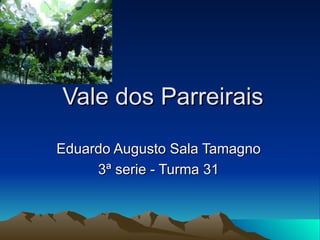 Vale dos Parreirais Eduardo Augusto Sala Tamagno 3ª serie - Turma 31 