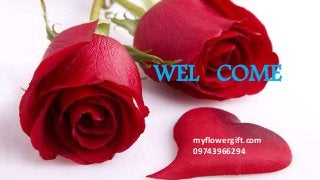 WEL COME
myflowergift.com
09743966294
 