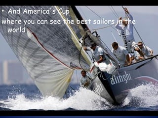 And America's Cup where you can see the best sailors in the world 