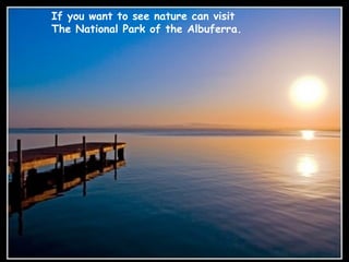 If you want to see nature can visit  The National Park of the Albuferra. 