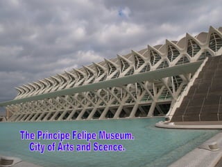 The Principe Felipe Museum. City of Arts and Scence. 