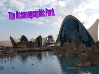 The Oceanographic Park. 