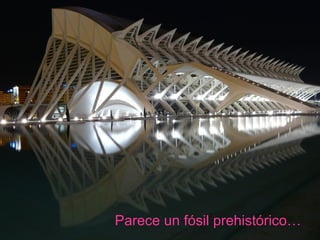 Parece un fósil prehistórico… 