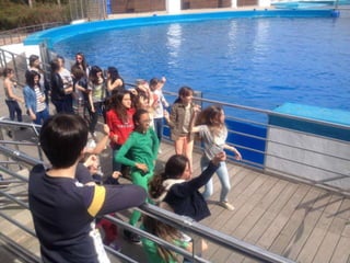 Valencia day 3   aquarium