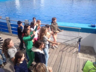 Valencia day 3   aquarium