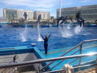 Valencia day 3   aquarium