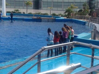 Valencia day 3   aquarium