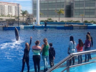 Valencia day 3   aquarium