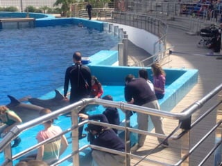 Valencia day 3   aquarium