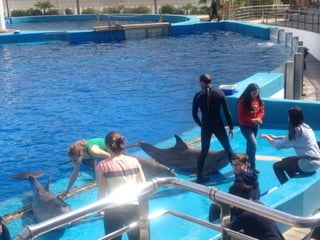 Valencia day 3   aquarium