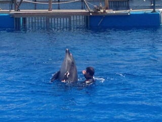 Valencia day 3   aquarium
