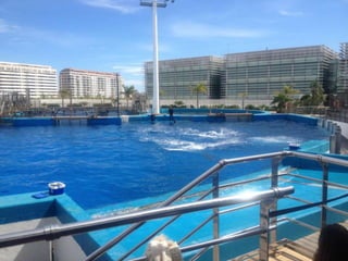 Valencia day 3   aquarium
