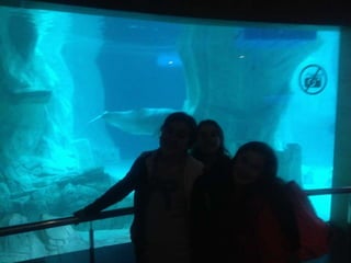 Valencia day 3   aquarium