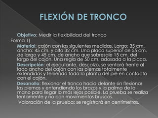 FLEXIÓN DE TRONCO     Objetivo: Medir la flexibilidad del tronco Forma 1)      Material: cajón con las siguientes medidas. Largo: 35 cm. ancho: 45 cm. y alto 32 cm. Una placa superior de 55 cm. de largo y 45 cm. de ancho que sobresale 15 cm. del largo del cajón. Una regla de 50 cm. adosada a la placa.      Descripción: el ejecutante, descalzo, se sentará frente al lado ancho del cajón con las piernas totalmente extendidas y teniendo toda la planta del pie en contacto con el cajón.      Desarrollo: flexionar el tronco hacia delante sin flexionar las piernas y entendiendo los brazos y la palma de la mano para llegar lo más lejos posible. La prueba se realiza lentamente y no con movimientos bruscos.       Valoración de la prueba: se registrará en centímetros. 