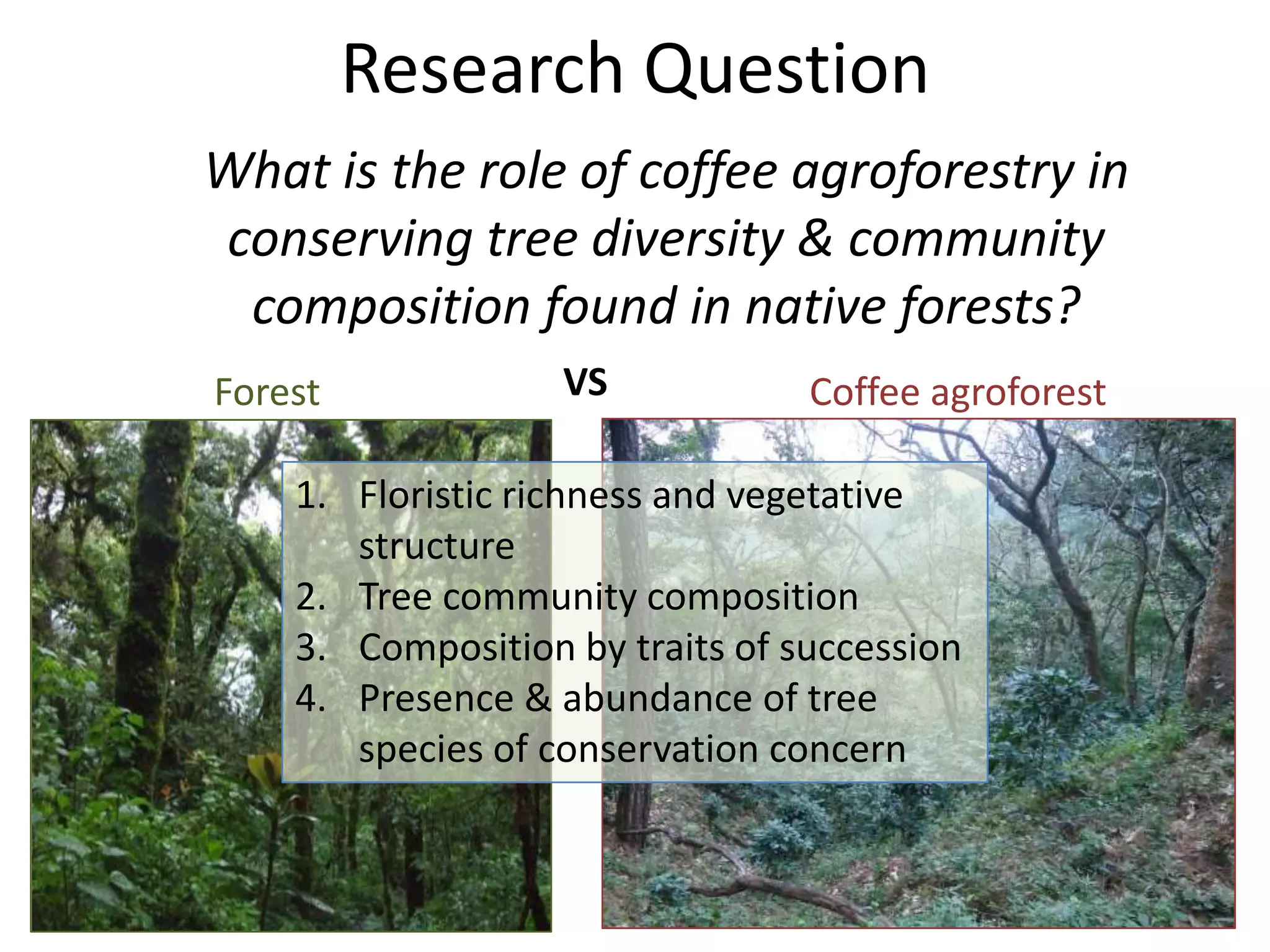 The Role of Coffee Agroforestry in the conservation of forest tree ...
